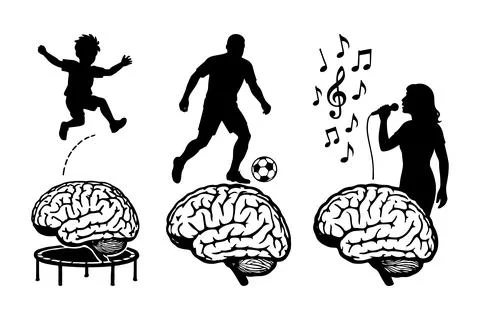 Human Brain Development Vector Through Play Sports And Music Creative Activ.. Stock Illustration
