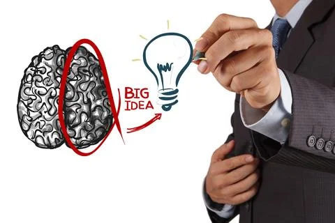 Human brain diagram Left and right brain functions Stock Photos