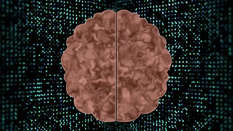 Human brain on digital background Stock Footage 253556411