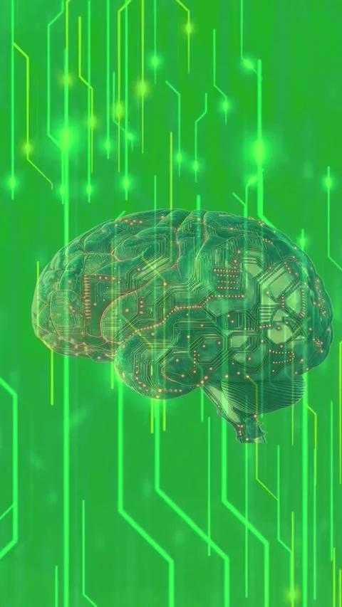 Human brain with digital circuit board inside representing artificial intel.. Stock Footage 333543259