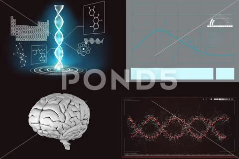 Human brain with DNA structure and reports Illustration #208827844