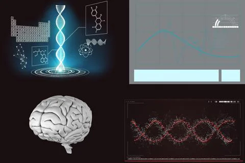 Human brain with DNA structure and reports イラスト素材