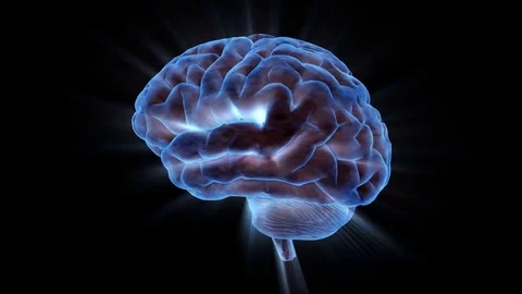 A human brain electrically charged with thought. 스톡 동영상 85154547