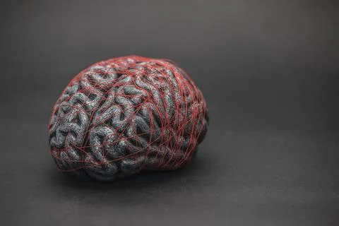 Human brain entwined with red thread. Concept of neurology, nervous system. Stock Photos