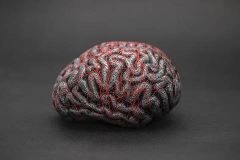 Human brain entwined with red thread. Concept of neurology, nervous system. Stock Photos
