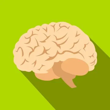 Human brain flat icon with shadow Ilustración de archivo