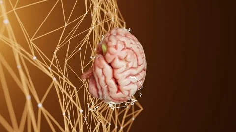 Human brain floating above a neural network with interconnected lines on a Video stock 294184316