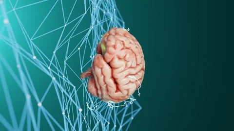 Human brain floating above a neural network with interconnected lines on a blue Video stock 294184328