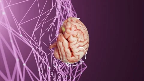 Human brain floating above a neural network with interconnected lines on a pink Video stock 294184340