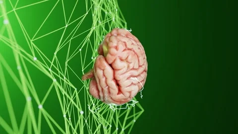 Human brain floating above a neural network with interconnected lines on a Video stock 294184346