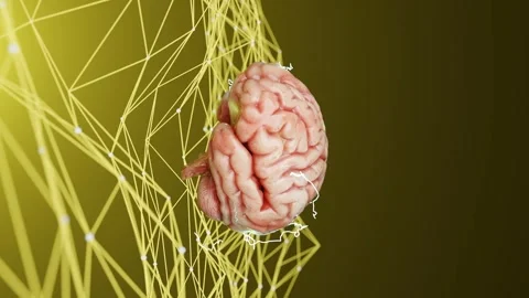 Human brain floating above a neural network with interconnected lines on a Video stock 294184384