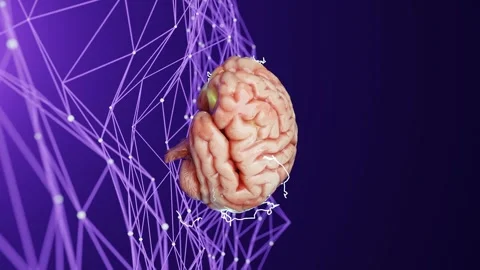 Human brain floating above a neural network with interconnected lines on a Video stock 294184390