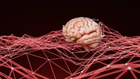 Human brain floating above a neural network with interconnected lines on a red Video stock 294185777