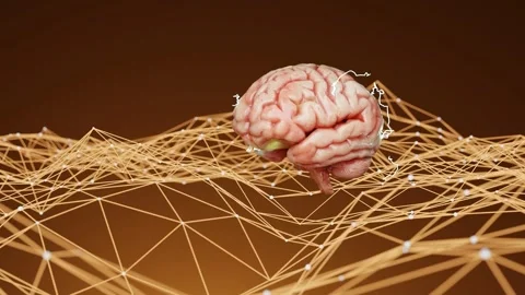 Human brain floating above a neural network with interconnected lines on a Video stock 294186259