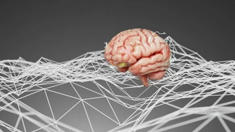 Human brain floating above a neural network with interconnected lines on a Video stock 294186269