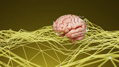 Human brain floating above a neural network with interconnected lines on a Video stock 294186278