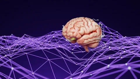 Human brain floating above a neural network with interconnected lines on a Video stock 294186283