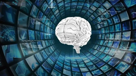 Human brain Stock Footage 106262359
