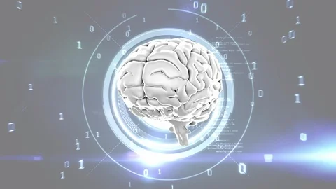 Human brain Stock Footage 106266931