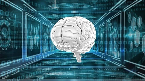 Human brain Stock Footage 106269481