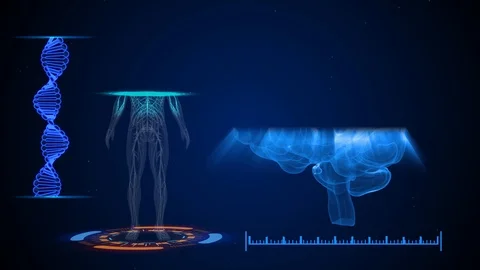 Human Brain Stock Footage 125899517