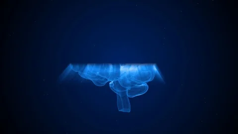 Human Brain Stock Footage 125899664