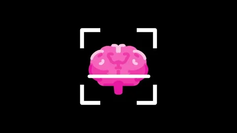 Human Brain Stock Footage 334178763