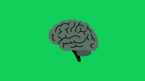 Human Brain Footage – Lateral View on Green Background Stock Footage 309446265
