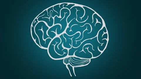 Human brain formation, animation. Concept of success. Video stock 121051099