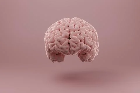 Human Brain in front of coloured background Stock Illustration