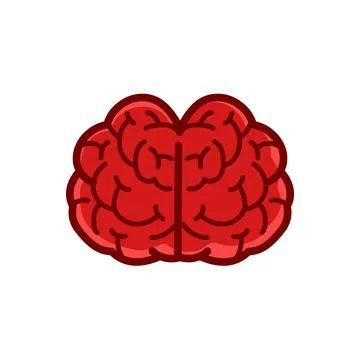 Human brain frontview illustration Stock Illustration