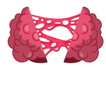 Human brain. Funny object. Right and left hemispheres of head. Stock Illustration