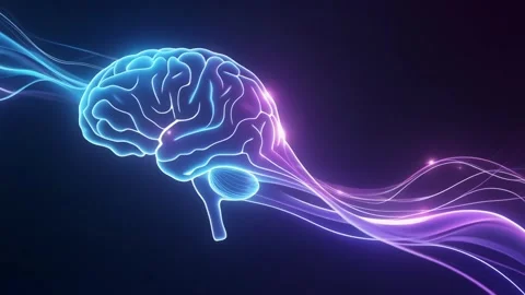 Human brain with glowing light streams representing cognitive activity 動画素材 342094394