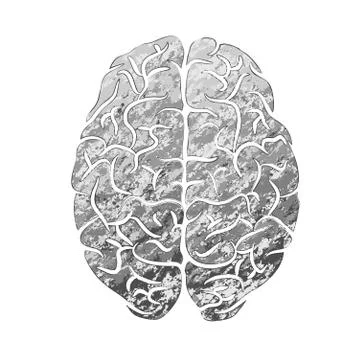 Human brain gray color Stock Illustration