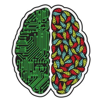 Human brain halves Stock Illustration