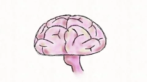 Human Brain Hand Drawn Animation Stock Footage 341765749