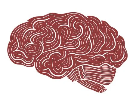 Human brain hand drawn engraved sketch drawing vector Stock Illustration