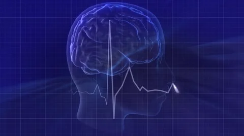 Human Brain - HD LOOP  Stock-Footage 60242322