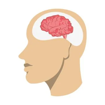 Human brain in head icon Stock Illustration