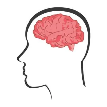 Human brain in head icon Stock Illustration