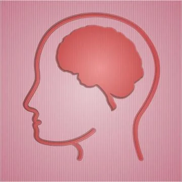 Human brain in head Stock Illustration
