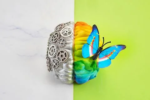 Human brain hemispheres representing logic and creativity with butterfly 스톡 사진