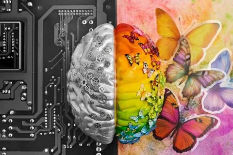 Human brain hemispheres representing logic and creativity concepts Stock Photos