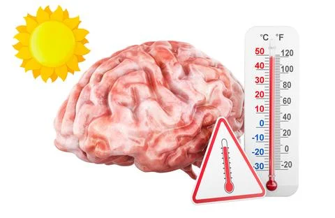 Human brain with high temperature warning and sun. 3D rendering Stock Illustration