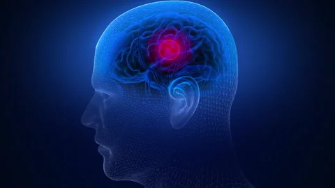 Human Brain Highlight Description CG Shot, It can be used as Brain Stock Footage 154780576