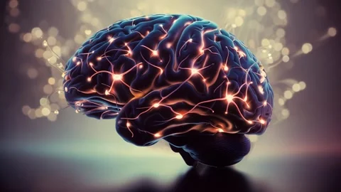 Human brain with highlighted neural pathways Video stock 300229160