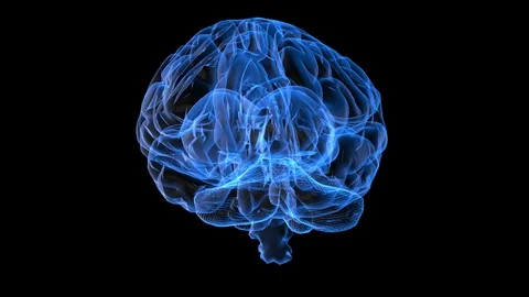 Human Brain Hologram 動画素材 118585948