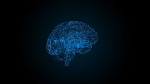 The human brain is like a hologram. Plexus. A blue rotating human brain on a Stock Footage 81085599