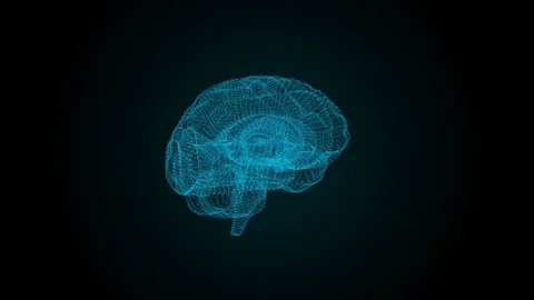 The human brain is like a hologram. Plexus. Green rotating human brain on a Stock Footage 81114608