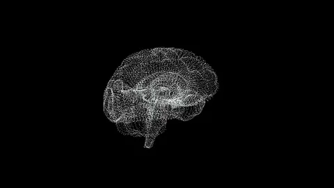 The human brain is like a hologram. Plexus. White rotating human brain on a Stock Footage 81114287